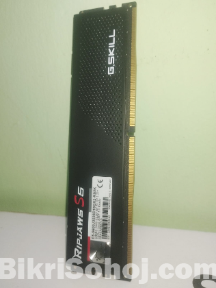G-Skill DDR5 16GB Ram